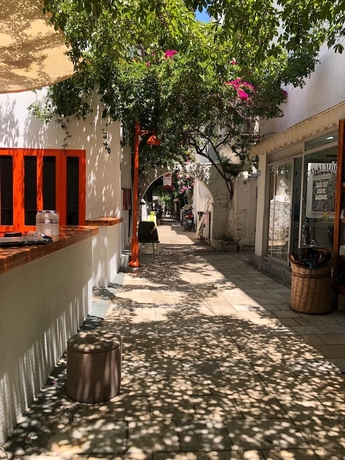 Imagen general del The Cranberries Hostel Bodrum. Foto 8