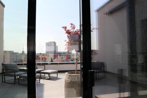 Imagen general del The Dome Aparthotel. Foto 5