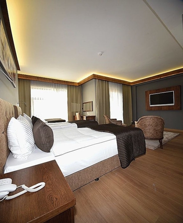 Imagen de la habitación del The Elegant Hotel. Foto 3