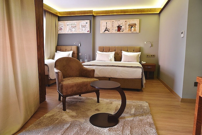 Imagen de la habitación del The Elegant Hotel. Foto 5