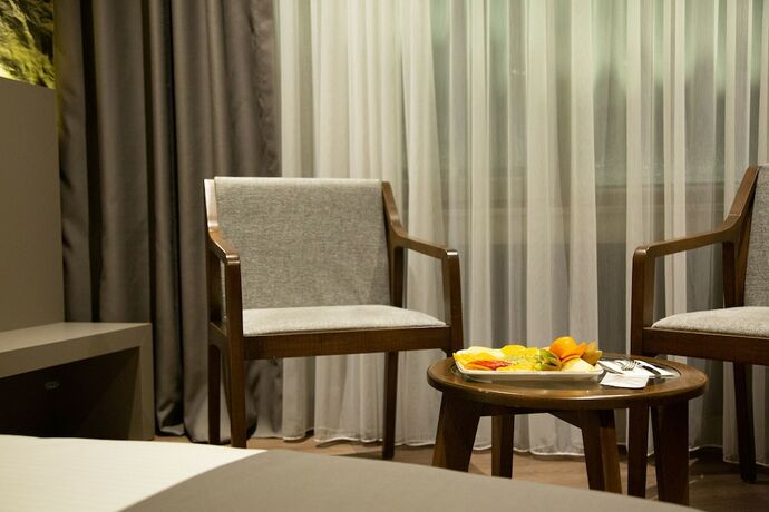Imagen general del The Erzurum Hotel. Foto 9