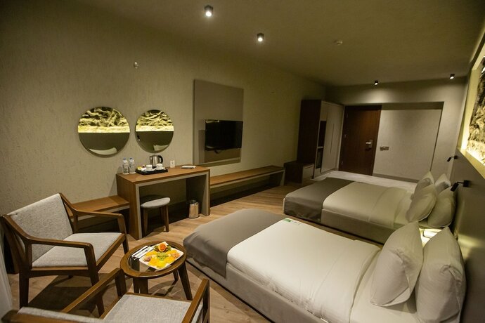 Imagen general del The Erzurum Hotel. Foto 10