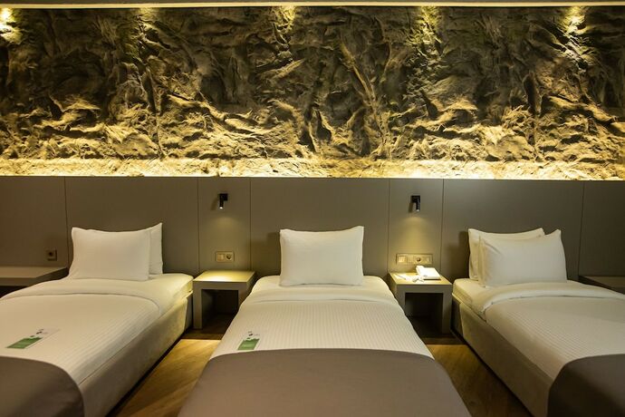 Imagen de la habitación del The Erzurum Hotel. Foto 13