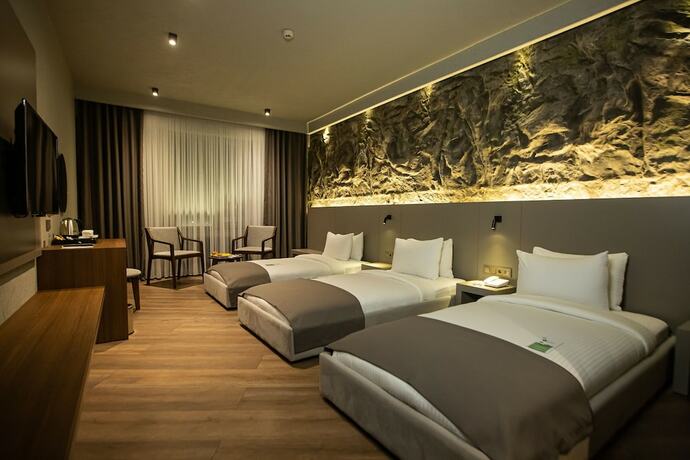 Imagen de la habitación del The Erzurum Hotel. Foto 18