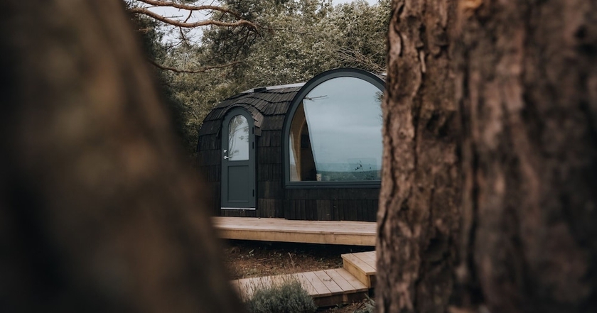 Imagen de la habitación del The Forest at Mount Congreve Gardens. Foto 12
