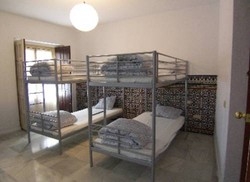 Imagen general del The Garden Backpacker. Foto 8