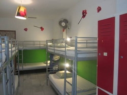 Imagen general del The Garden Backpacker. Foto 12