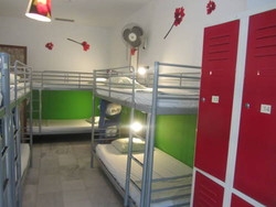 Imagen general del The Garden Backpacker. Foto 13