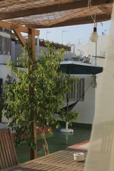 Imagen general del The Garden Backpacker. Foto 16
