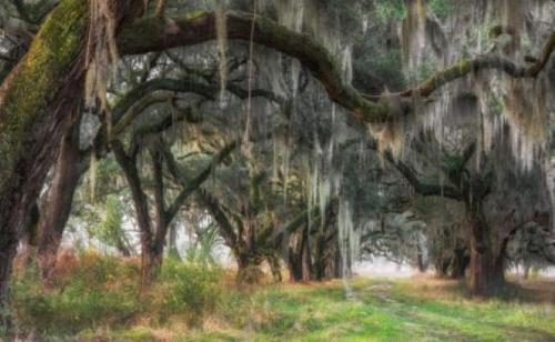 Imagen general del The George Hotel. Foto 2