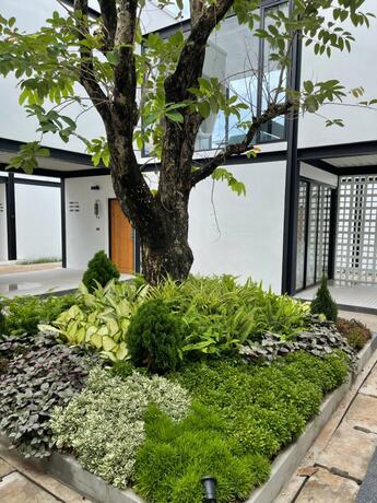 Imagen general del The Gold Living Life. Foto 39