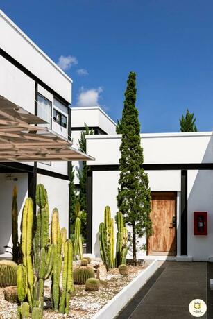 Imagen general del The Gold Living Life. Foto 40