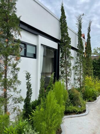 Imagen general del The Gold Living Life. Foto 44