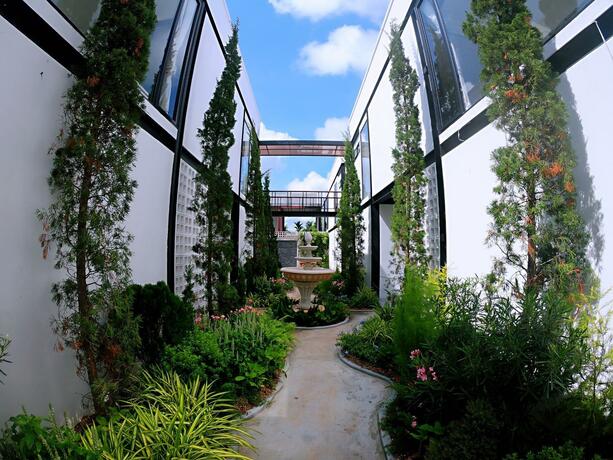 Imagen general del The Gold Living Life. Foto 45