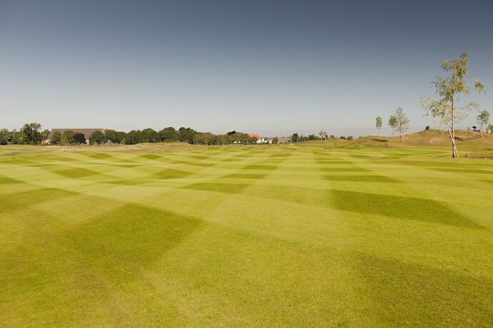 Imagen general del The Green, Colonia. Foto 7