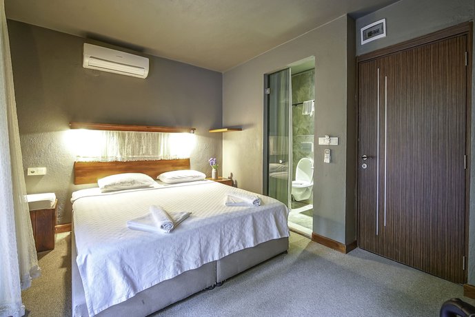 Imagen de la habitación del The Green Goose Hotel. Foto 10