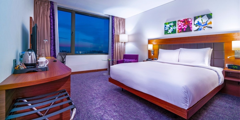 Imagen de la habitación del The Green Park Hotel Sivas. Foto 5