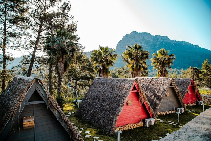 Imagen general del The Hill Glamping. Foto 2