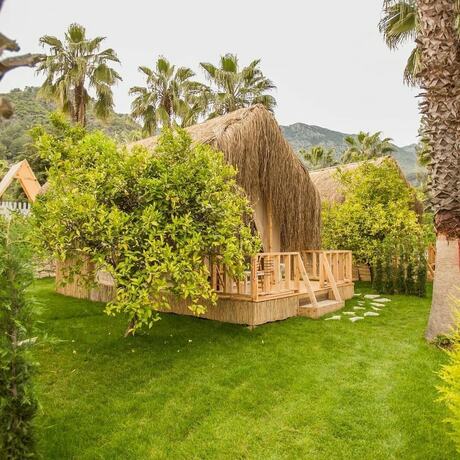 Imagen general del The Hill Glamping. Foto 3