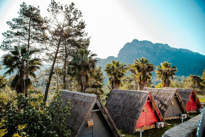 Imagen general del The Hill Glamping. Foto 7