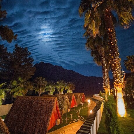 Imagen de la habitación del The Hill Glamping. Foto 19