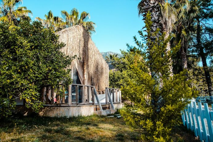 Imagen general del The Hill Glamping. Foto 8