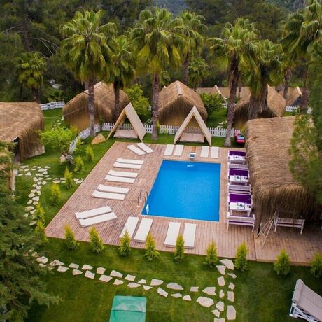 Imagen general del The Hill Glamping. Foto 10