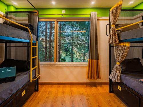 Imagen de la habitación del The Hosteller Lansdowne. Foto 15