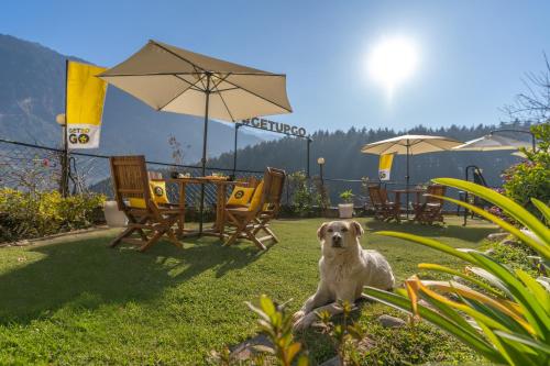 Imagen general del The Hosteller Manali, Old Manali. Foto 3