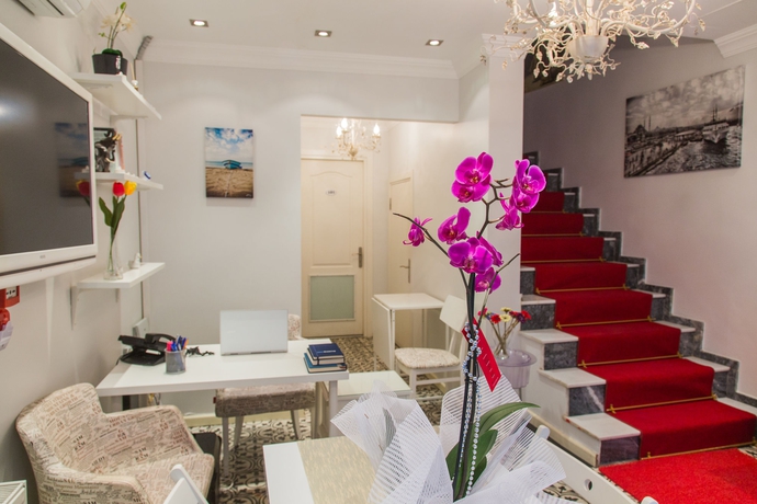 Imagen de los interiores del The House Of Tulpan. Foto 15