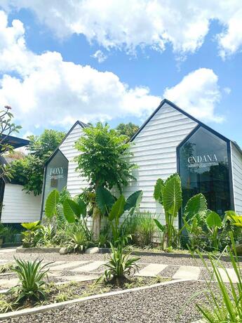 Imagen general del The Jungle Hostel Canggu. Foto 23