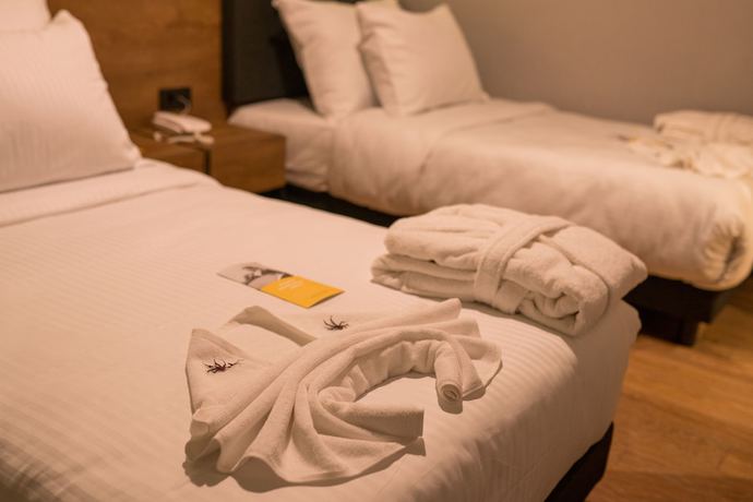 Imagen de la habitación del The Kayseri Loft Hotel, Melikgazi. Foto 8
