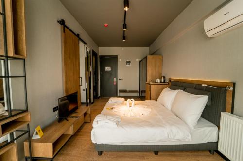 Imagen de la habitación del The Kayseri Loft Hotel, Melikgazi. Foto 11