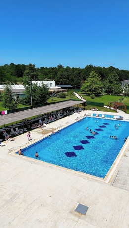 Imagen de la piscina del The Life Nest Hotel. Foto 10