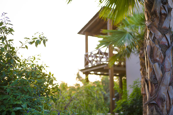 Imagen general del The Lifeco Bodrum Well-being Center - Adults Only. Foto 3