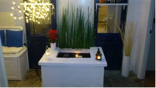 Imagen general del The Lights Garden. Foto 8