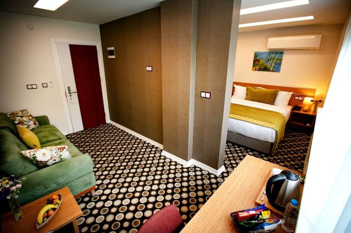 Imagen de la habitación del The North Hotel, Trabzon. Foto 10