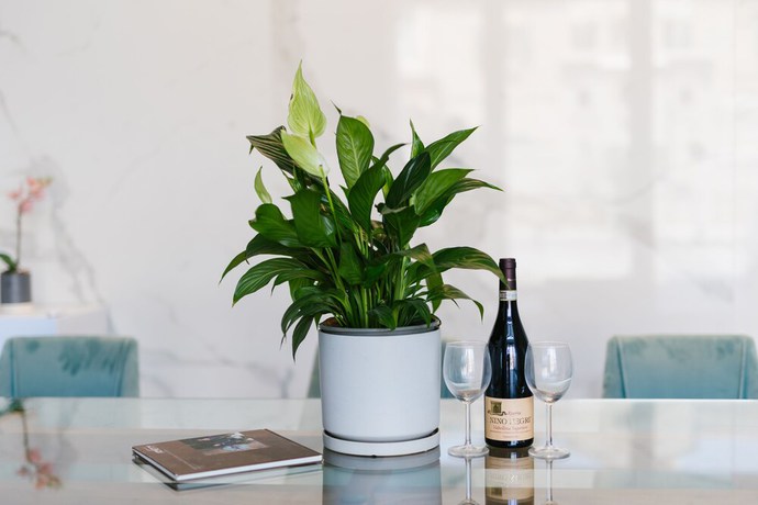 Imagen de los interiores del The Odette Boutique Hotel. Foto 16