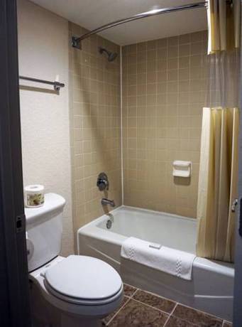 Imagen de la habitación del The Onion Inn. Foto 1