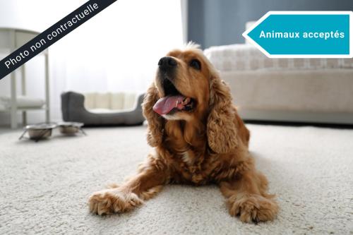 Imagen general del The Originals City, Relais d\'Estillac, Agen Sud. Foto 8