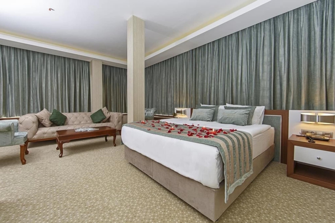 Imagen de la habitación del The Park Hotel Ankara. Foto 11
