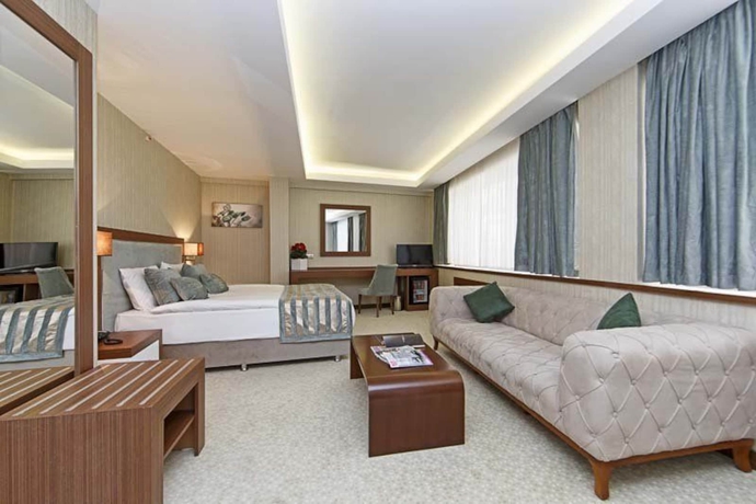 Imagen de la habitación del The Park Hotel Ankara. Foto 13