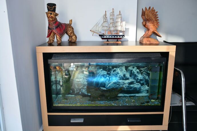 Imagen general del The Pera Hotel Marmaris. Foto 10