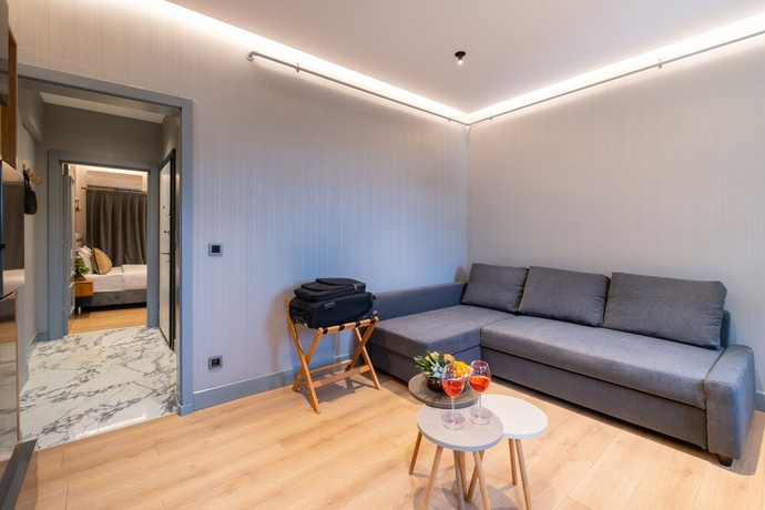 Imagen de la habitación del The Platine Plus Suite. Foto 8