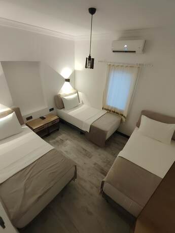 Imagen general del The Professor\'s Hotel. Foto 5