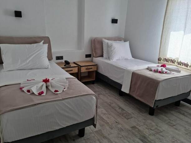 Imagen general del The Professor\'s Hotel. Foto 10