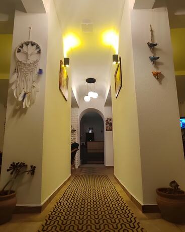Imagen general del The Professor\'s Hotel. Foto 12