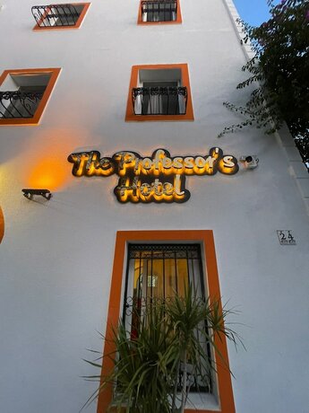 Imagen general del The Professor\'s Hotel. Foto 16