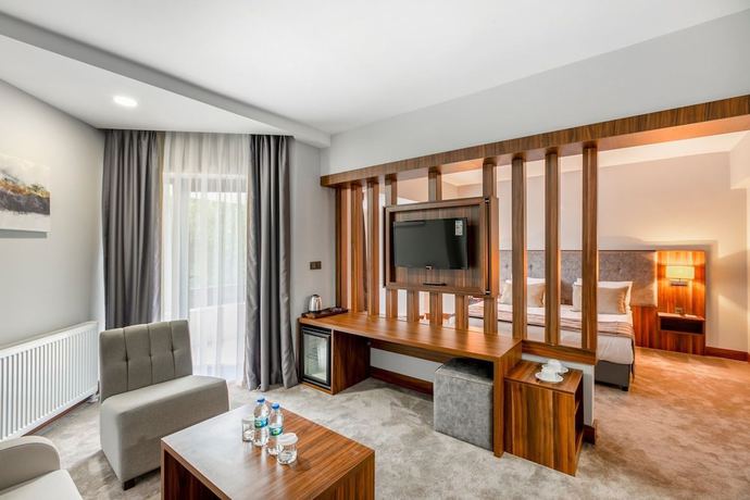Imagen de la habitación del The Sign Esentepe Hotel and Ski Center. Foto 10