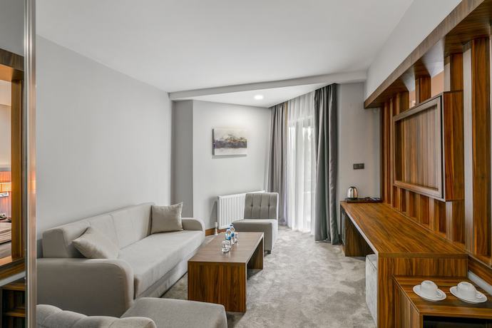 Imagen de la habitación del The Sign Esentepe Hotel and Ski Center. Foto 12